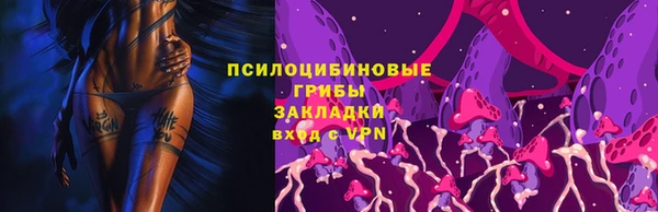 ПСИЛОЦИБИНОВЫЕ ГРИБЫ Видное