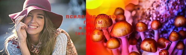 СК Весьегонск